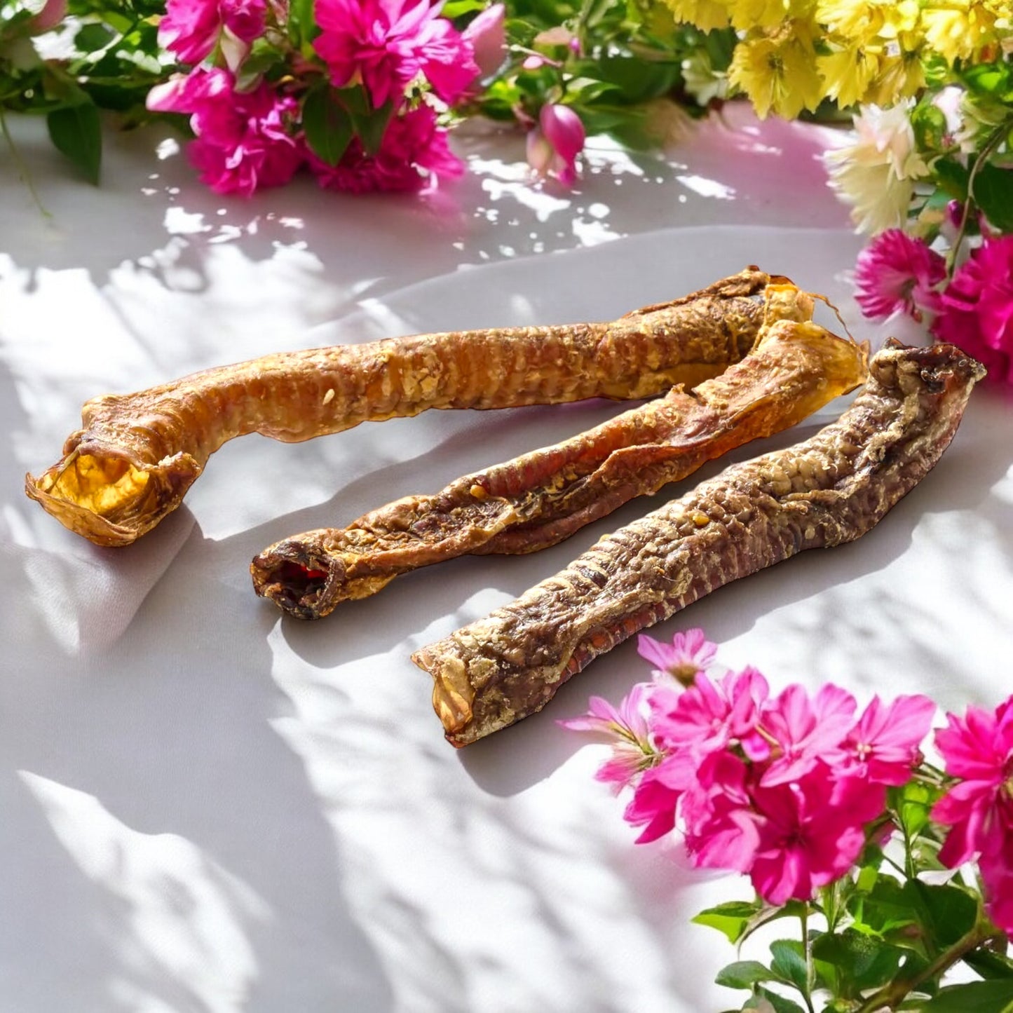 Ziegenluftröhre, Ziegenstrosse,