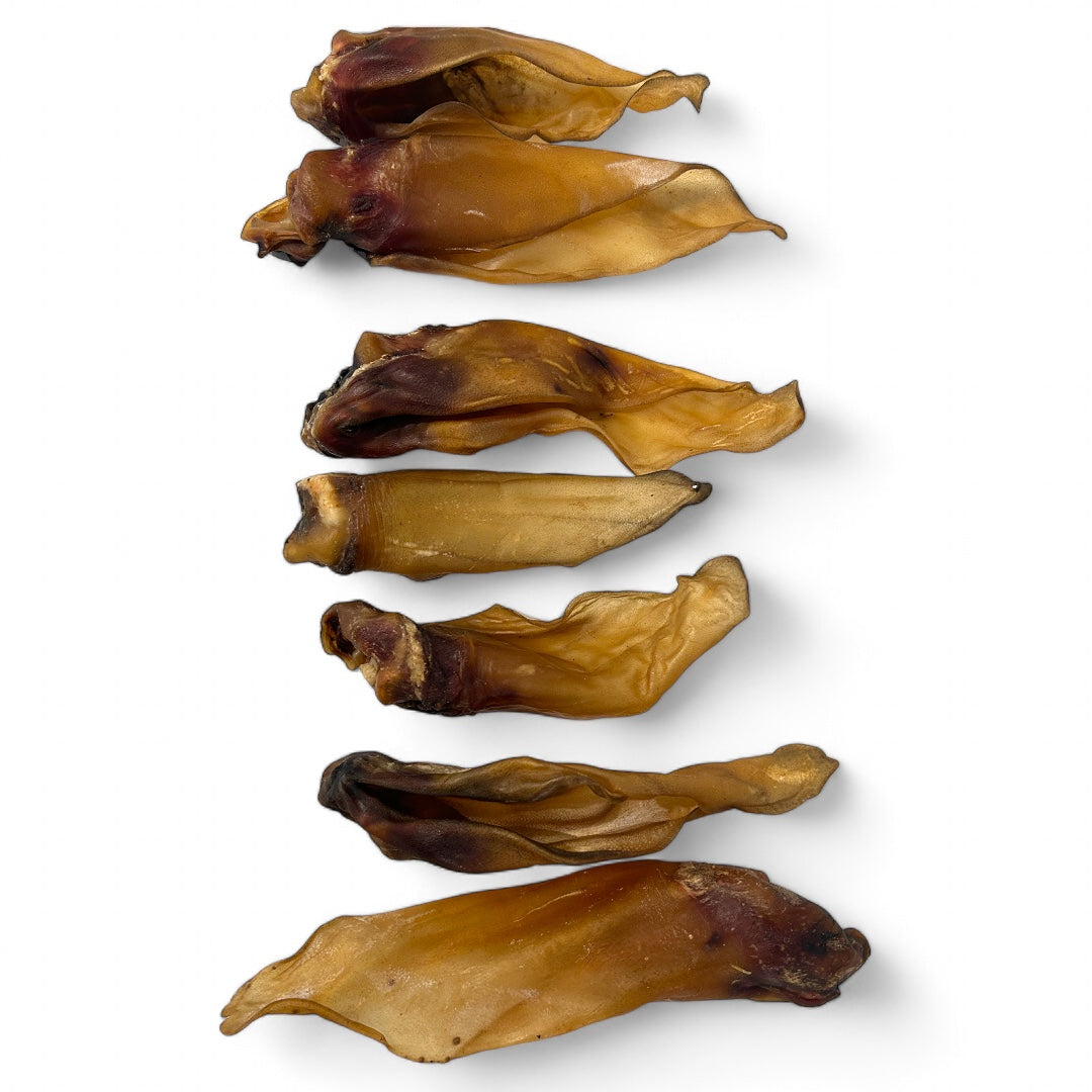Sparangebot Rinderohren, getrocknet, 10Stck