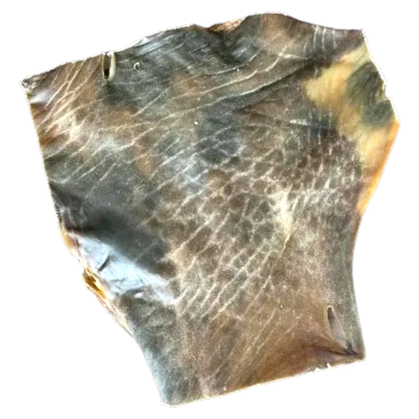 Kamel-Hautplatte, Kamelhautplatte 1kg