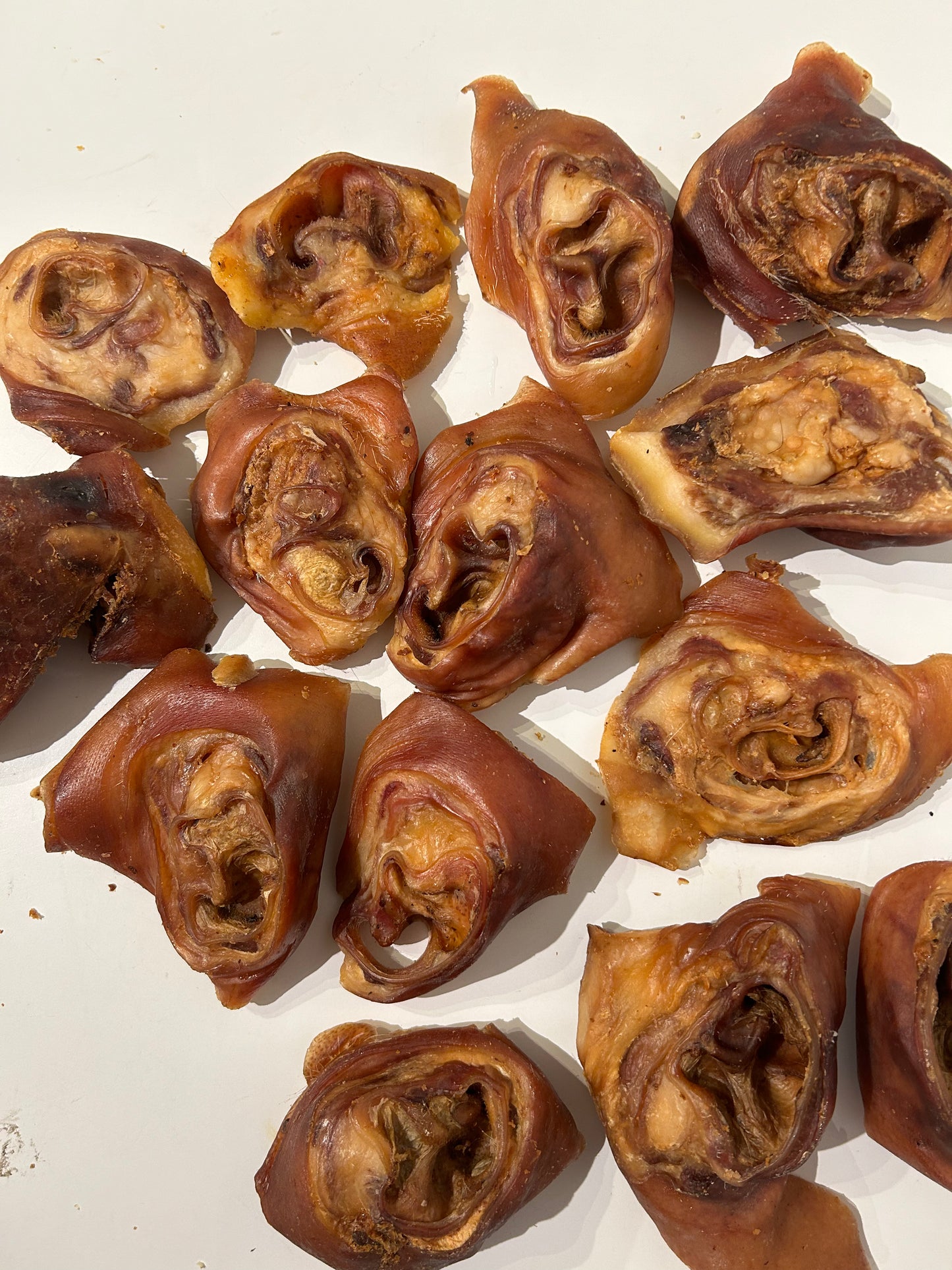 Schweine-Ohrmuschel, Schweineohrmuscheln, getrocknet, 1kg