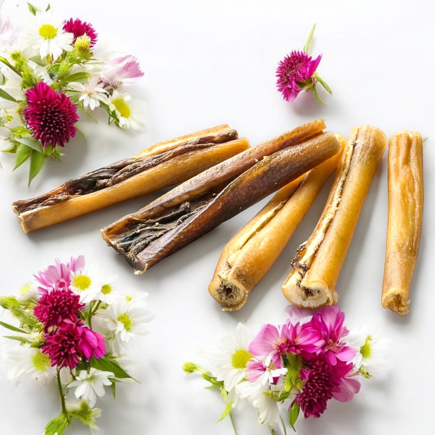 Wild-Haut, getrocknet Wildhaut