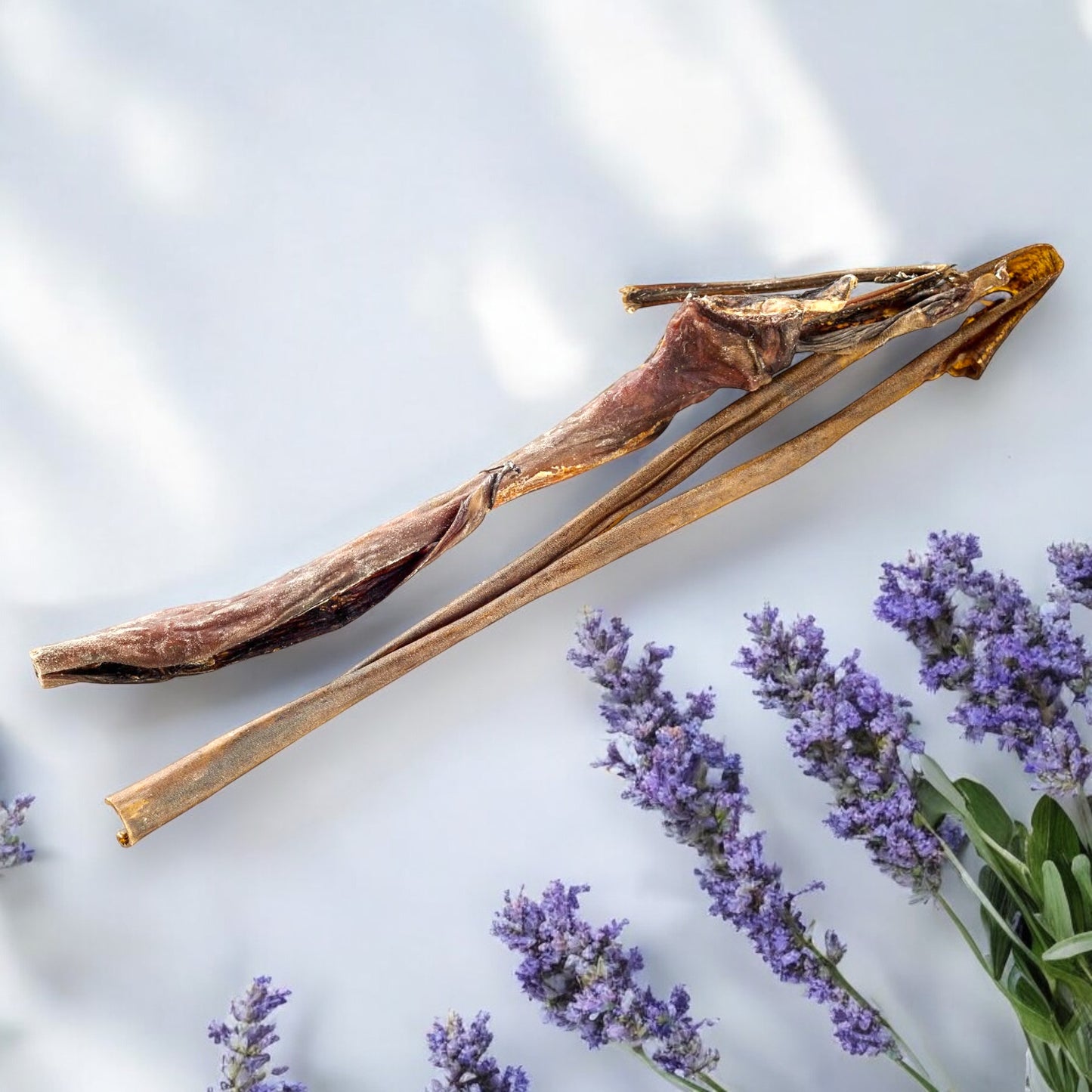 Reh-Haut, Rehhaut getrocknet 40-60cm, gerollt, 1kg