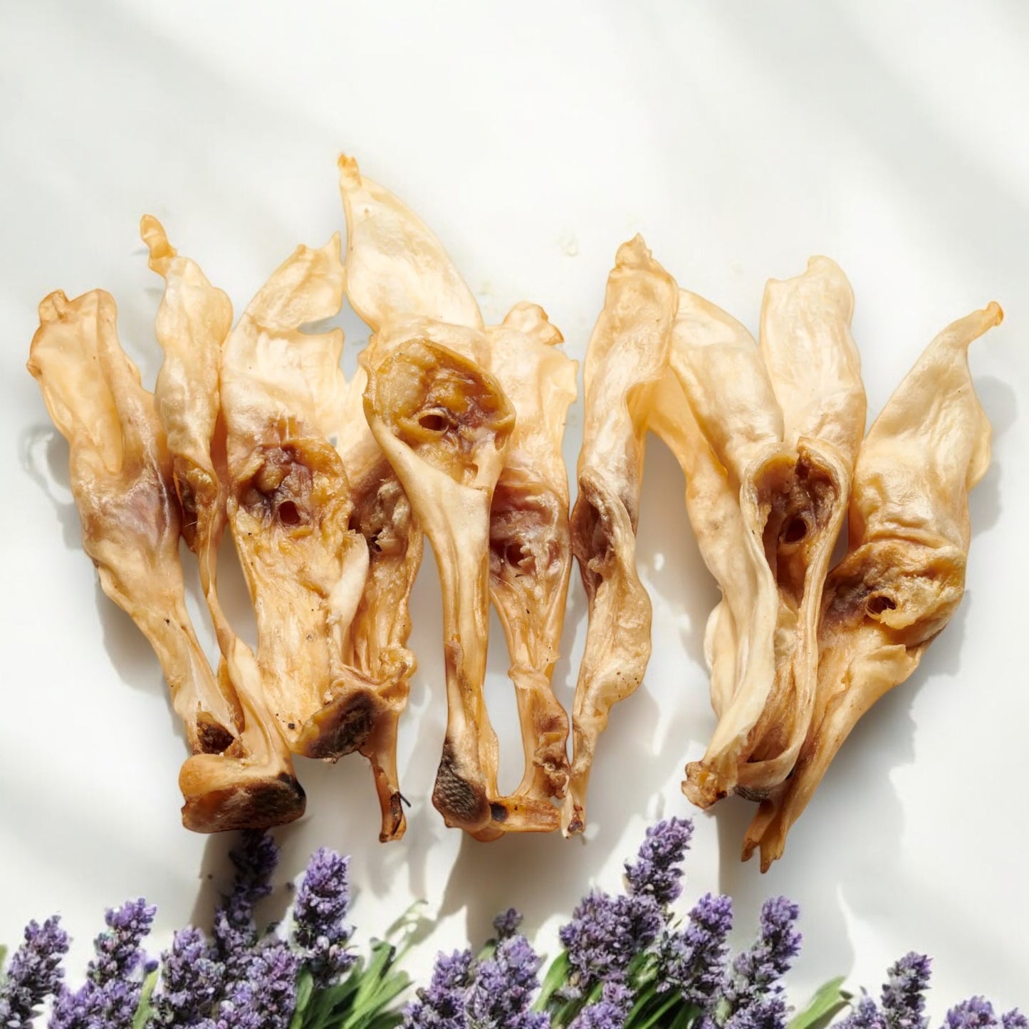 Kaninchen-Ohren ( ohne Fell) Kaninchenohren getrocknet