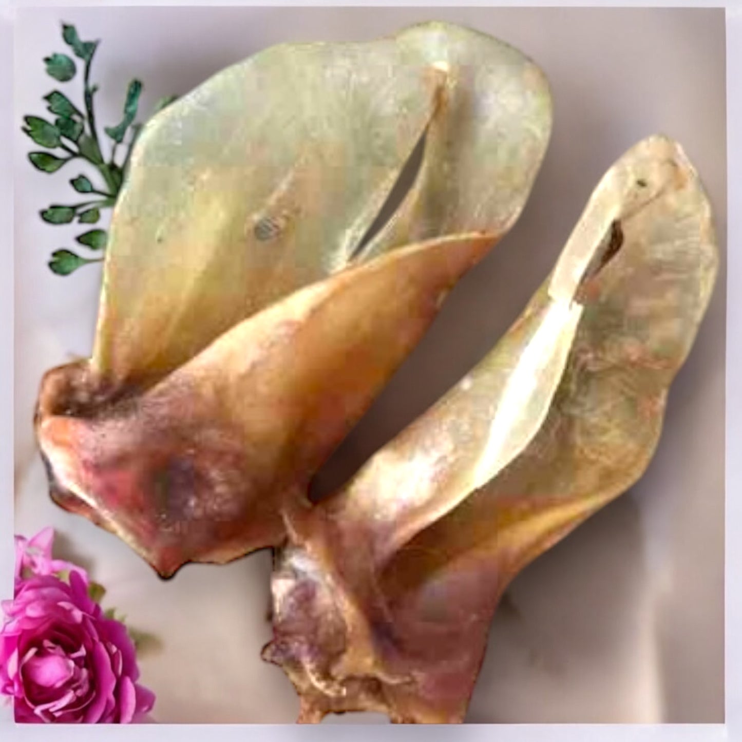 Rinderohren 20 Stück