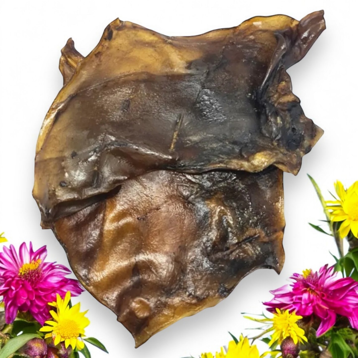 Pferdekopfhautplatten