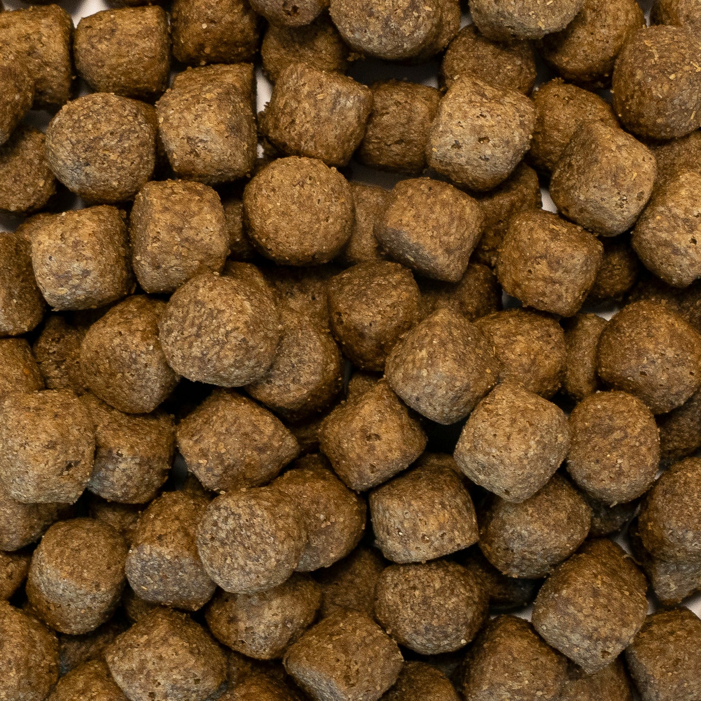 X-CLASS Sensitive Truthahn mit Reis light und für ältere Hunde