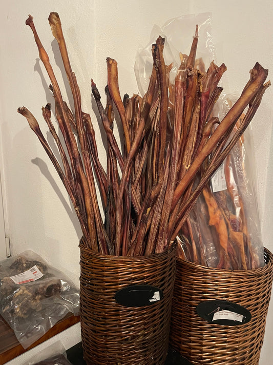 Ochsenziemer XL, ca. 80-90 cm