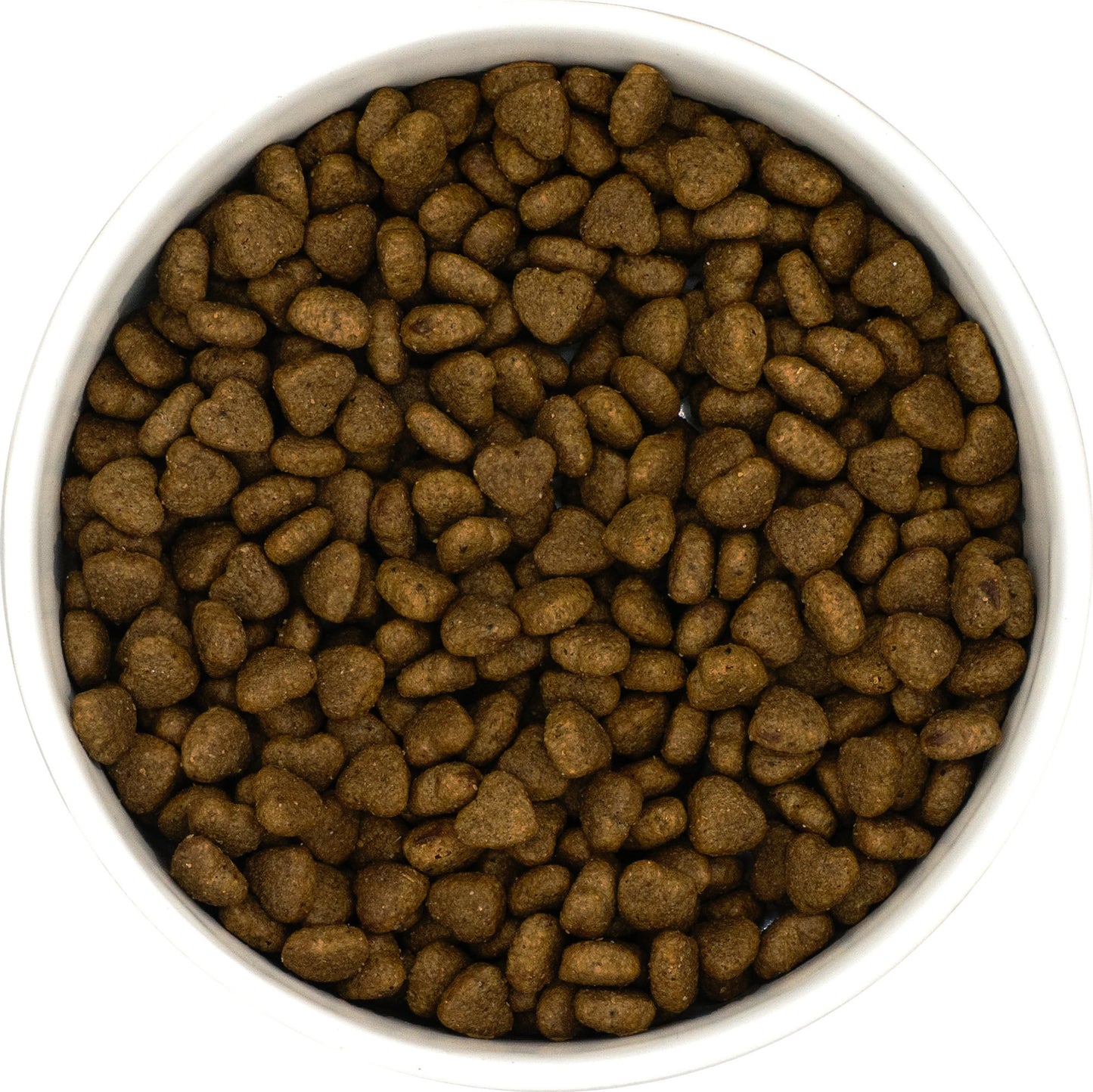 X-CLASS Vet+ Cat Gastrointestinal