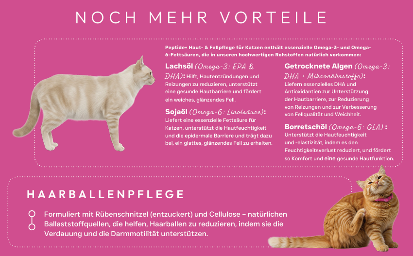 X-CLASS Vet+ Cat Haut, Fell & Anti-Hairball