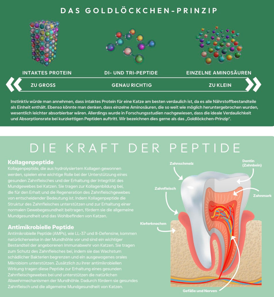 X-CLASS Vet+ Zahnpflege