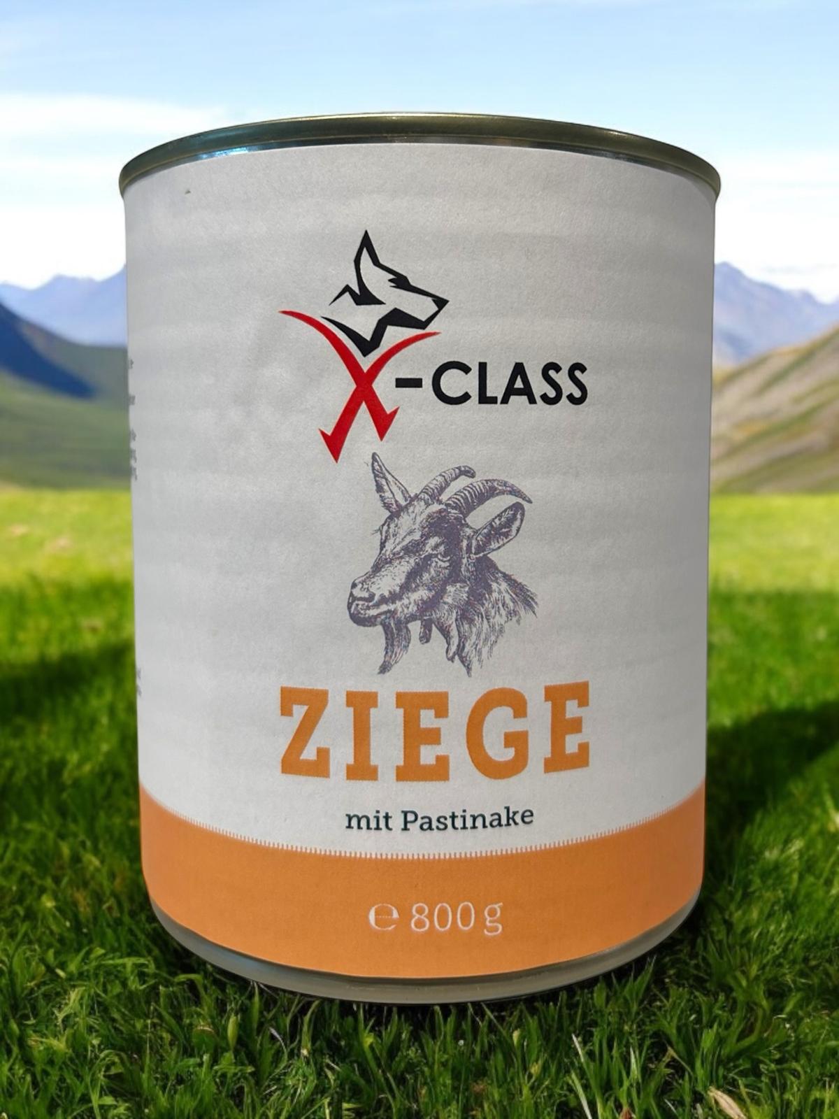 Ziege mit Pastinake