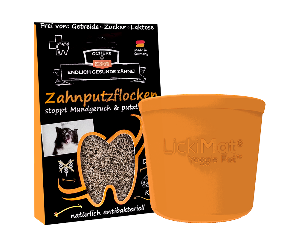 LickiDental Bundle Yoggie Pot