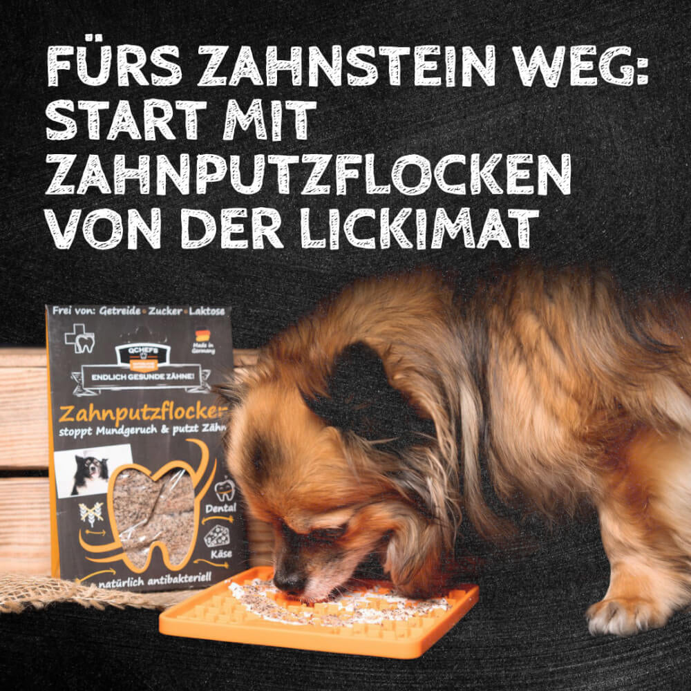 QCHEFS Zahnputzflocken Hund