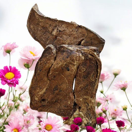 Lammlungenplatte, Lamm-Lungenplatte 100g