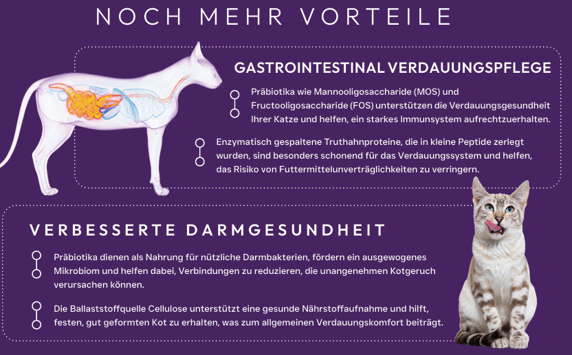 X-CLASS Vet+ Cat Gastrointestinal