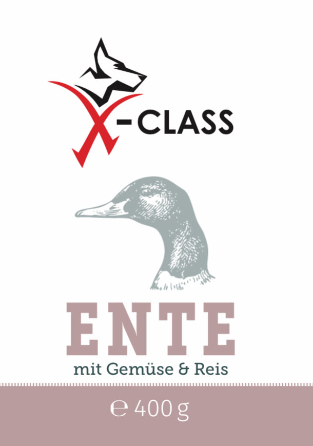 Ente mit Gemüse und Reis