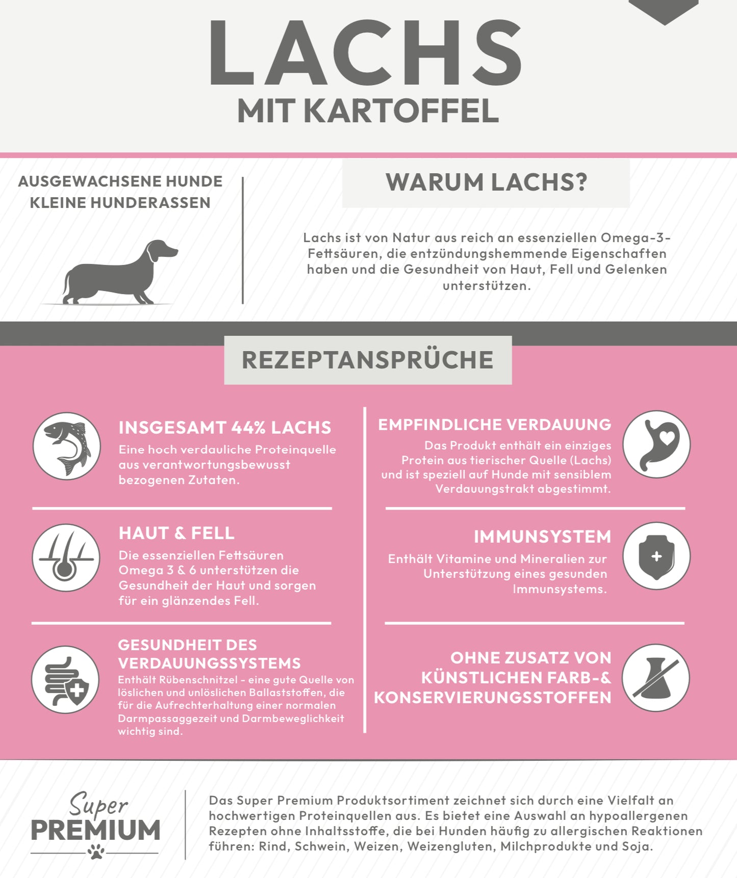 Lachs mit Kartoffel für ausgewachsene kleine Hunde