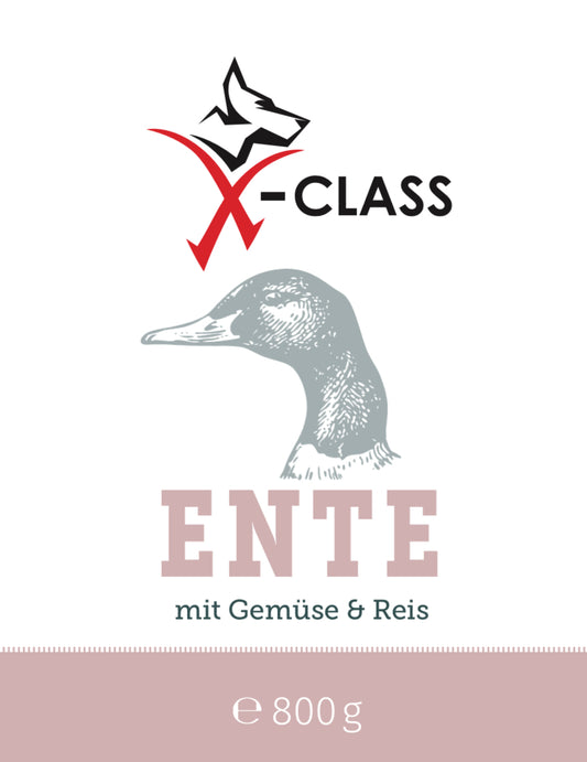 Ente mit Gemüse und Reis