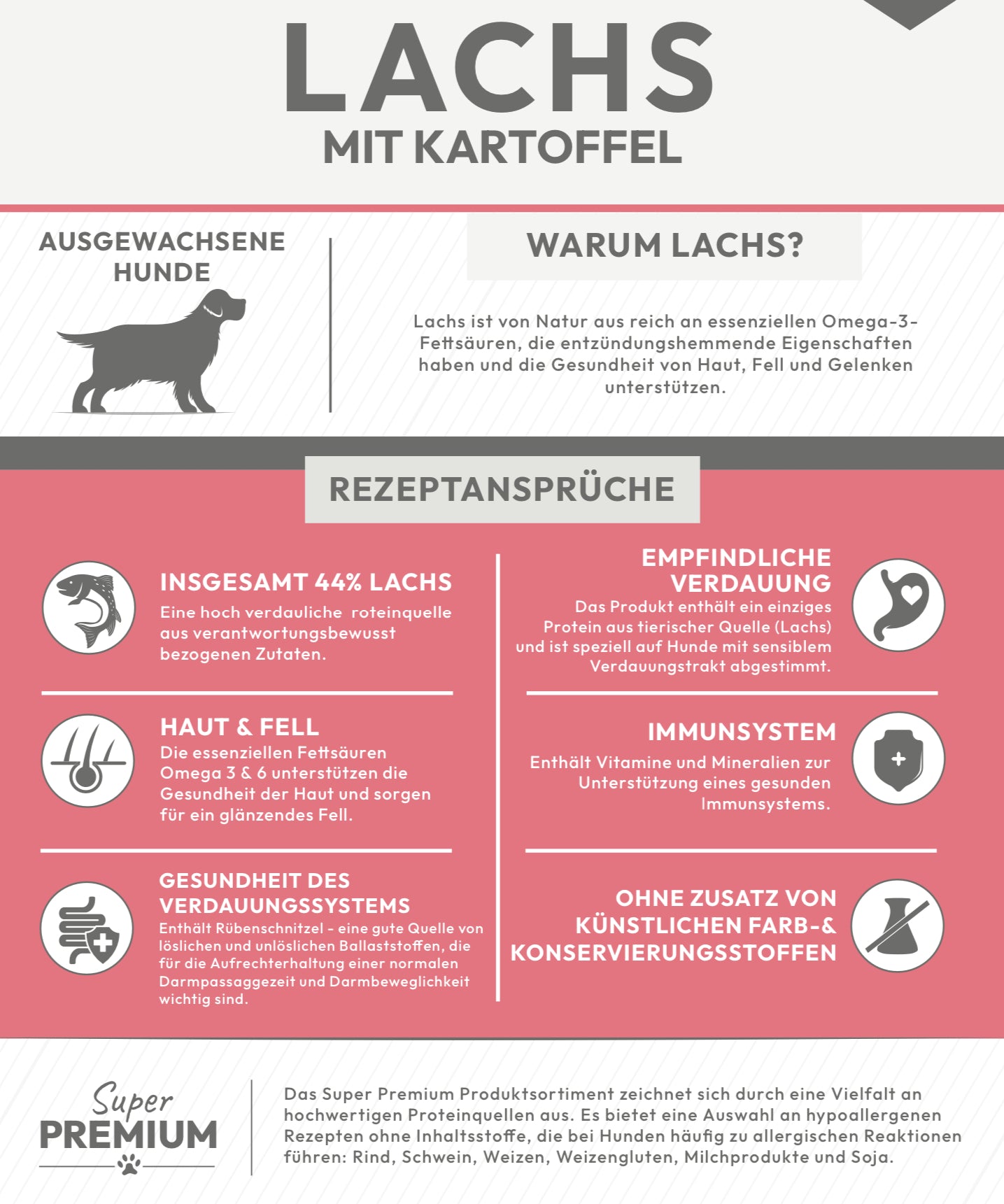 Lachs mit Kartoffel für ausgewachsene Hunde