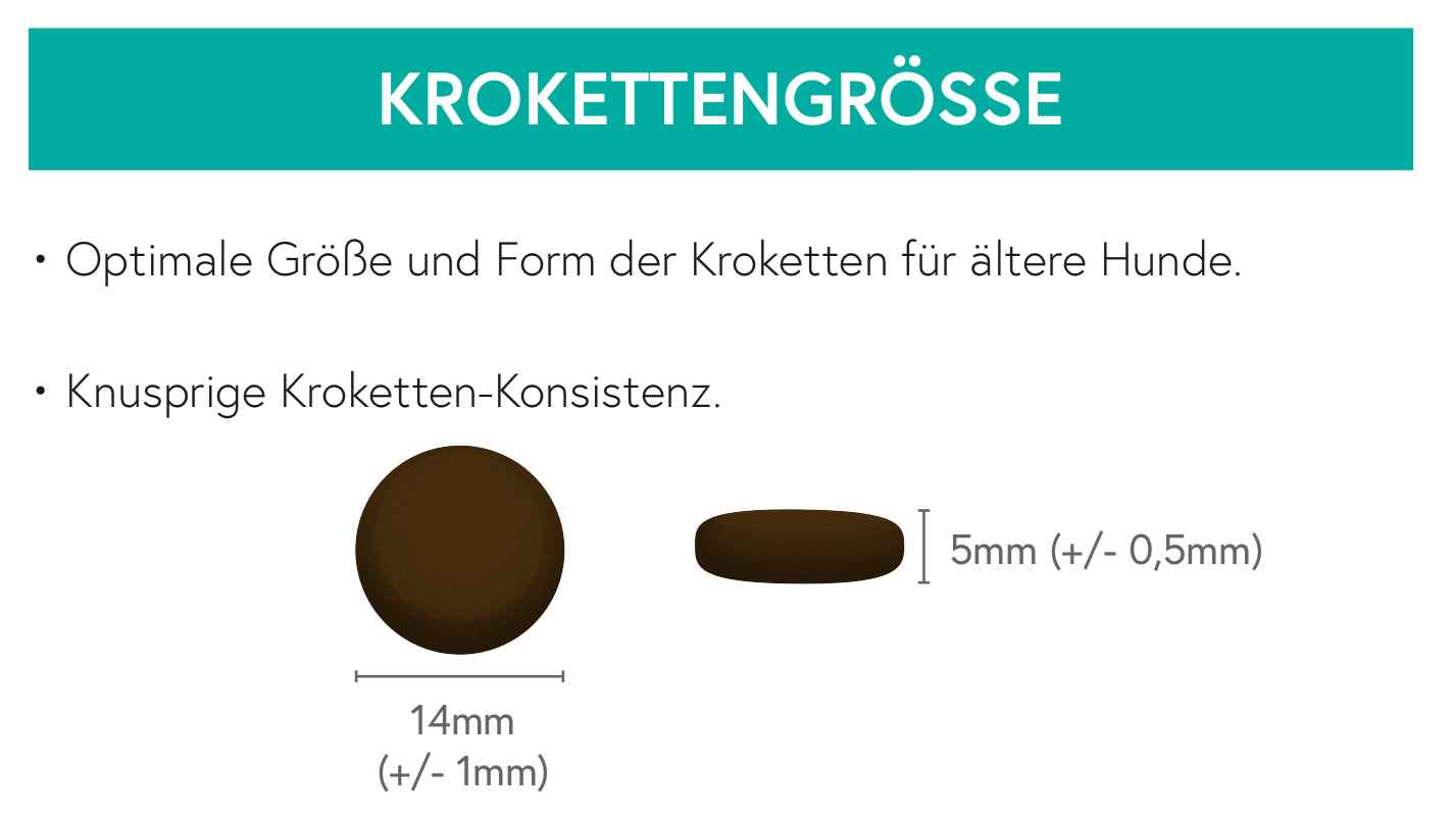 Getreidefrei Truthahn mit Süßkartoffel und Preiselbeere für ältere Hunde