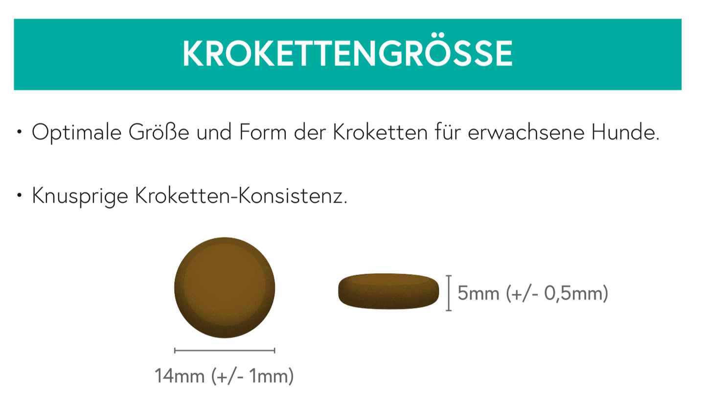 Getreidefrei Angus Rind mit Süßkartoffel und Karotte für ausgewachsene Hunde