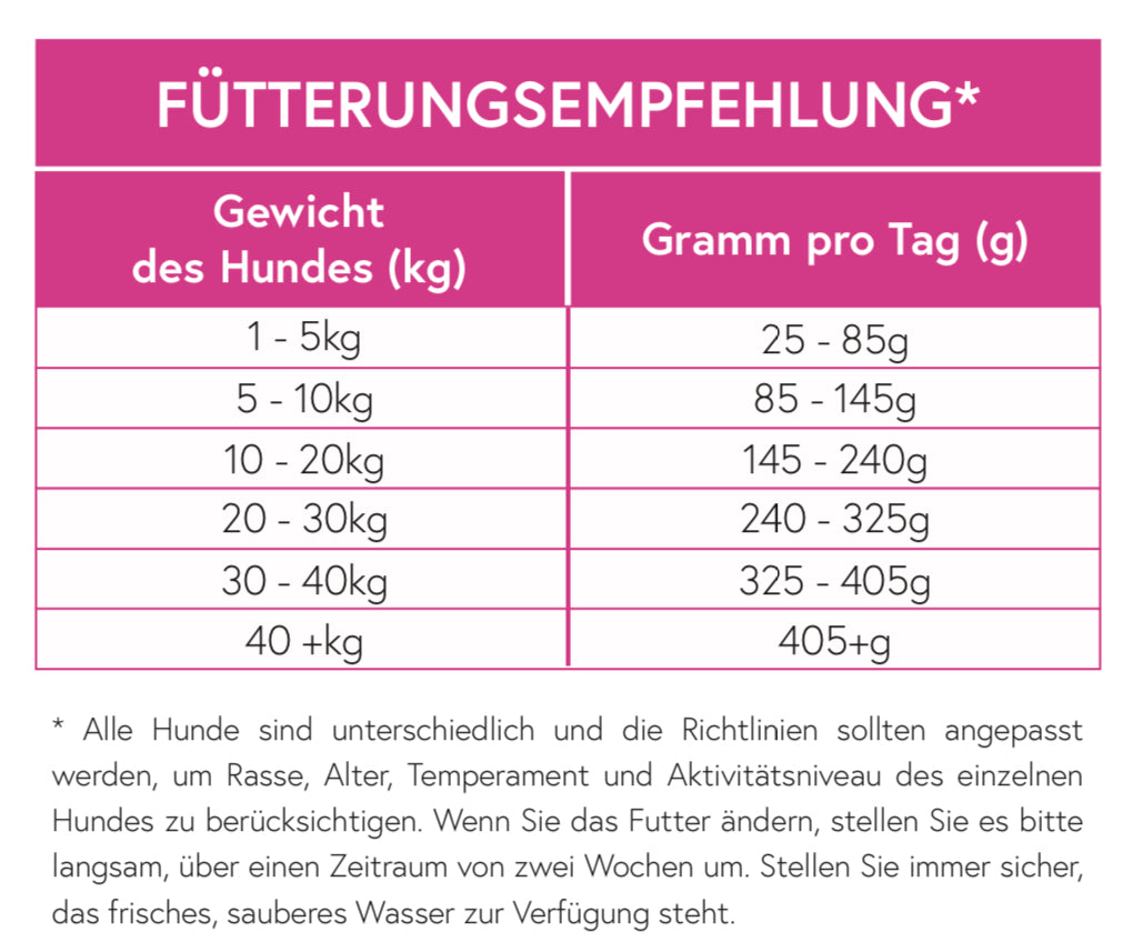 Superfood 65 Schottischer Lachs für ausgewachsene ältere Hunde / Senior