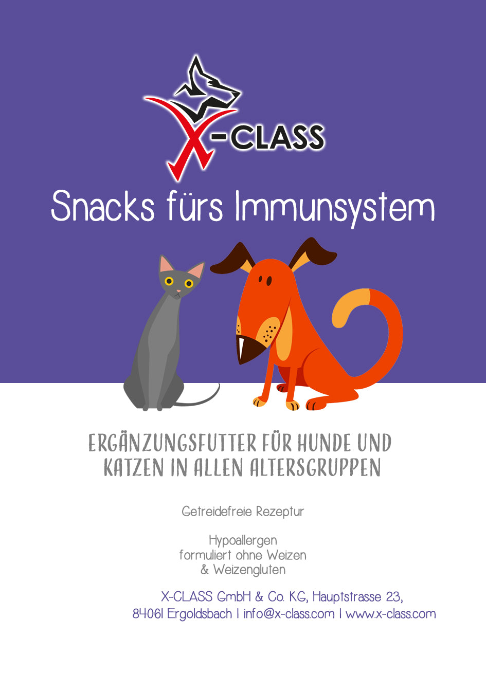 Snacks fürs Immunsystem 70g