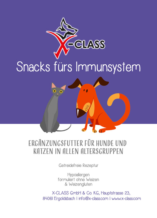 Snacks fürs Immunsystem 70g