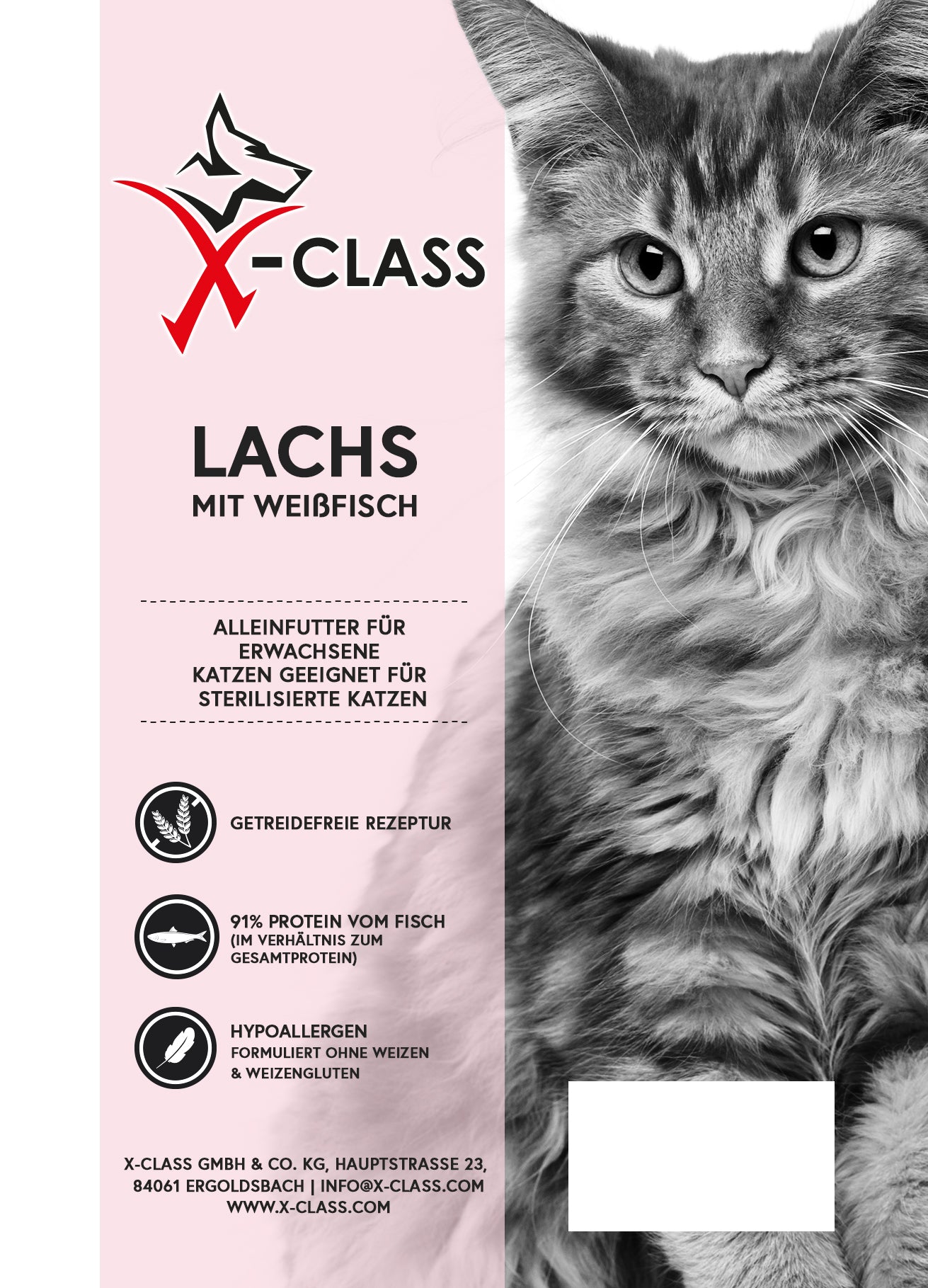 Connoisseur Cat Lachs mit Weißfisch für erwachsene Katzen (geeignet für sterilisierte Katzen)