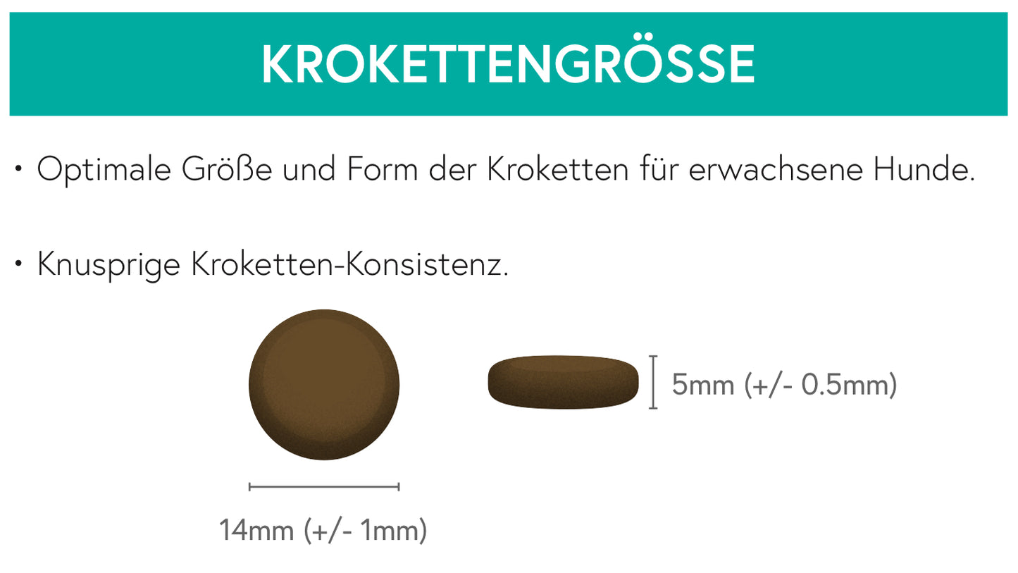 Getreidefrei Kaninchen, Truthahn mit Süßkartoffel und Brombeere für ausgewachsene Hunde