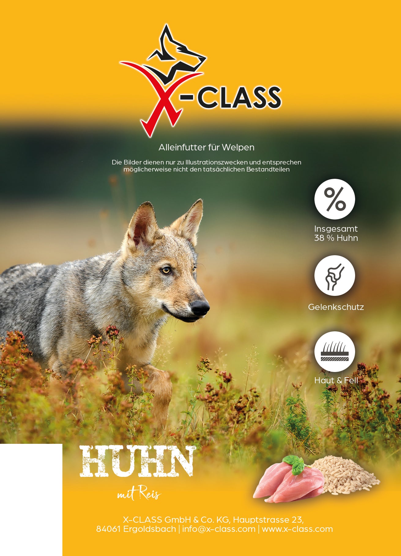 Trockenfutter für Welpen & Junghunde – tagged "Welpen" – X-CLASS Tierbedarf Trockenfutter für Welpen & Junghunde – tagged "Welpen" – X-CLASS Tierbedarf
