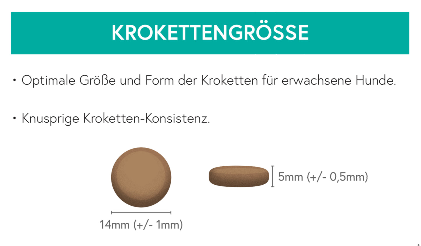 Getreidefrei Pferd mit Süßkartoffel und Granatapfel für ausgewachsene Hunde