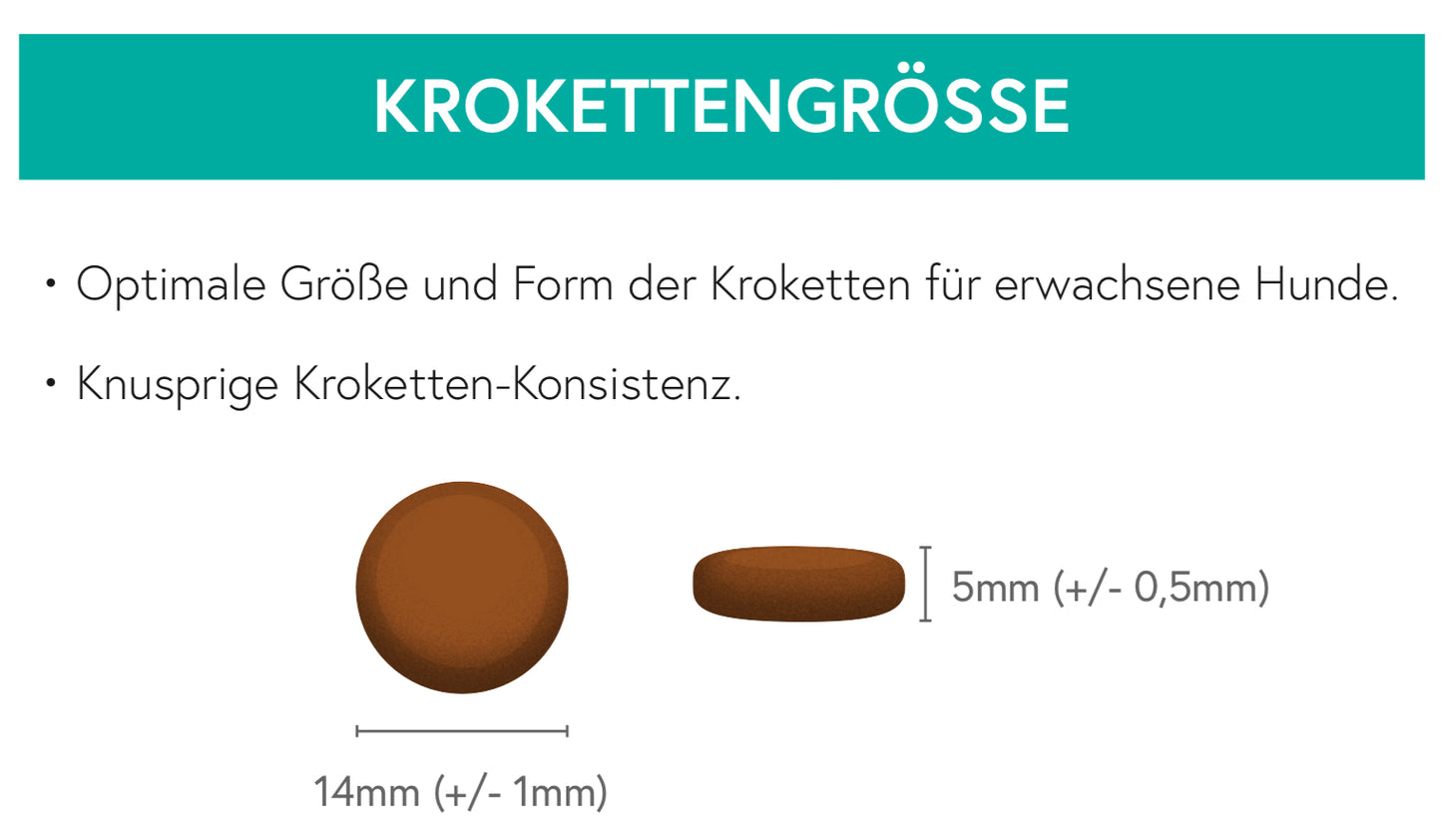 Getreidefrei Ente mit Süßkartoffel und Orange für ausgewachsene Hunde