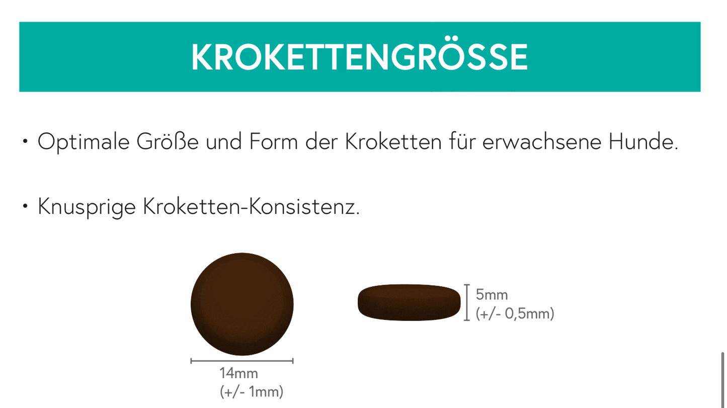 Getreidefrei Wild und Lachs mit Süßkartoffel und Maulbeere für ausgewachsene Hunde