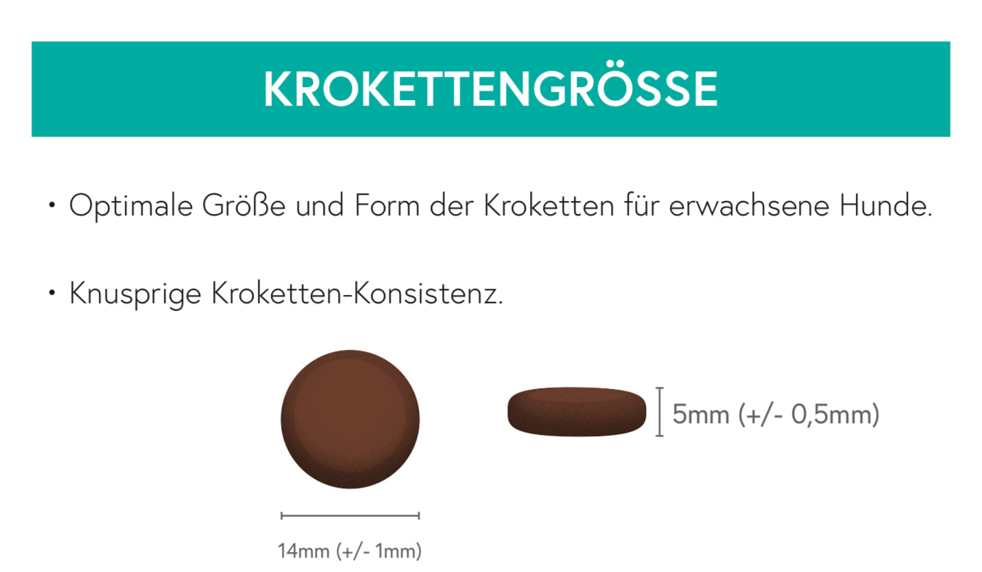 Getreidefrei Truthahn mit Süßkartoffel und Preiselbeere für ausgewachsene Hunde