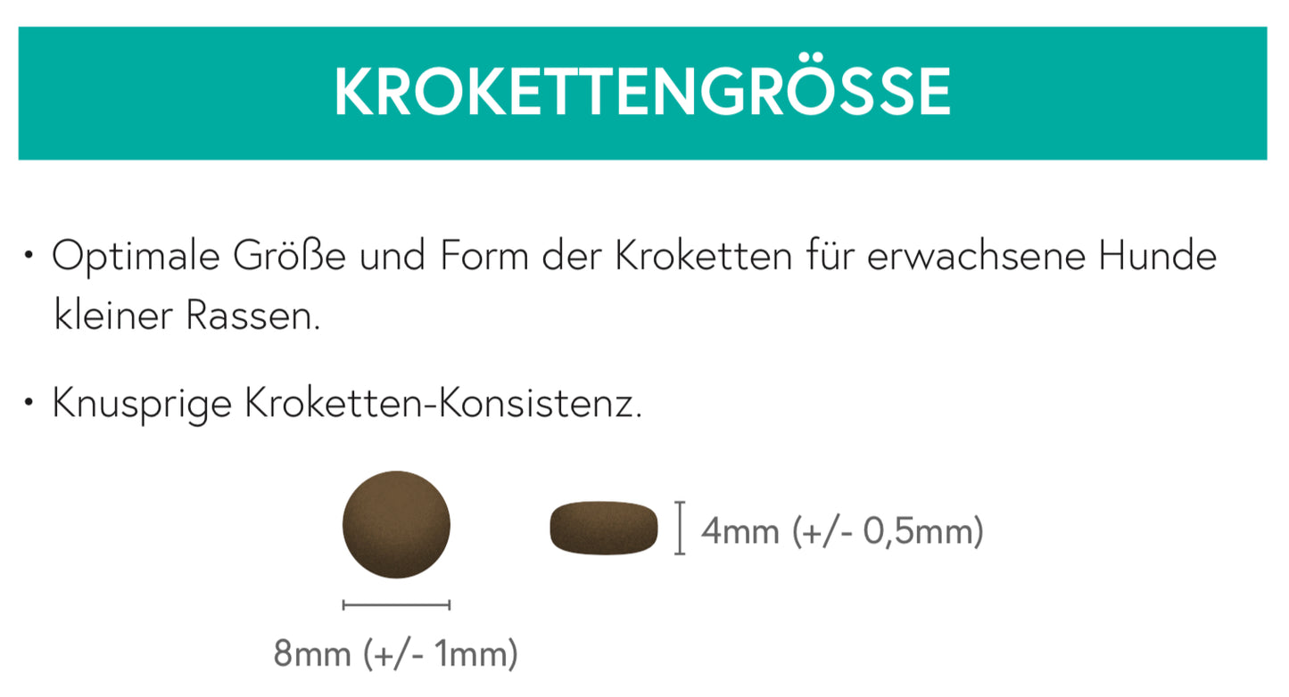 Getreidefrei Lachs mit Forelle, Süßkartoffel und Spargel für ausgewachsene kleine Hunde