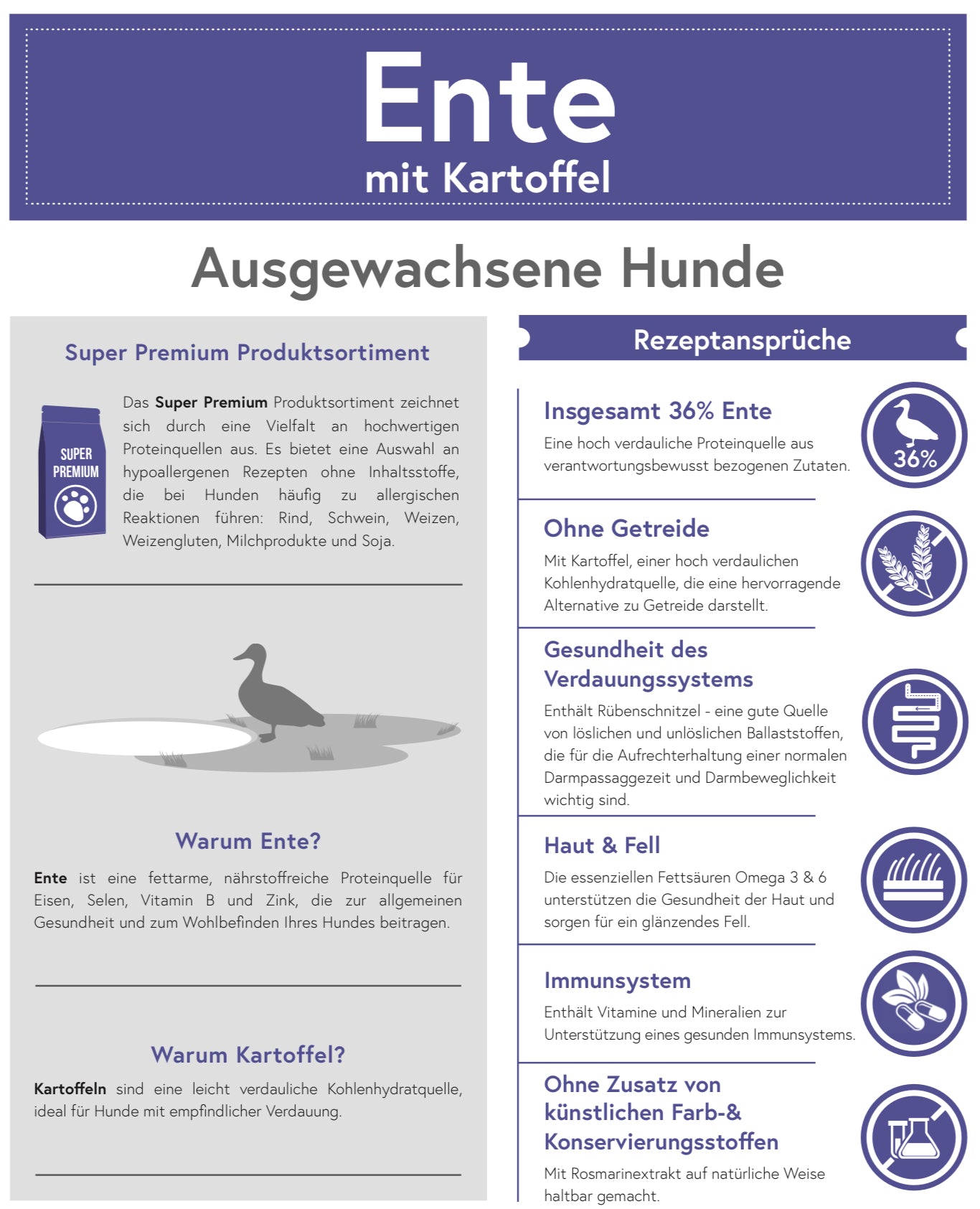 Ente mit Kartoffel für ausgewachsene Hunde