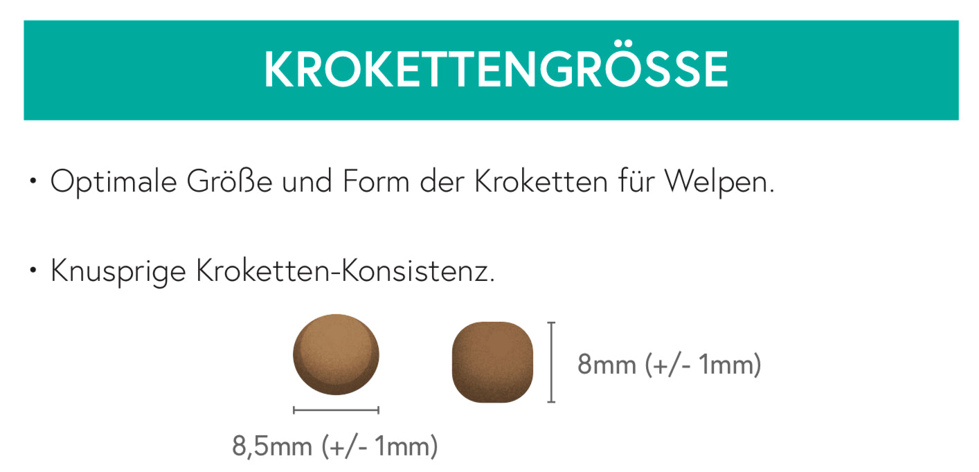 Getreidefrei Huhn mit Truthahn, Lachs, Süßkartoffel und Karotte für Welpen