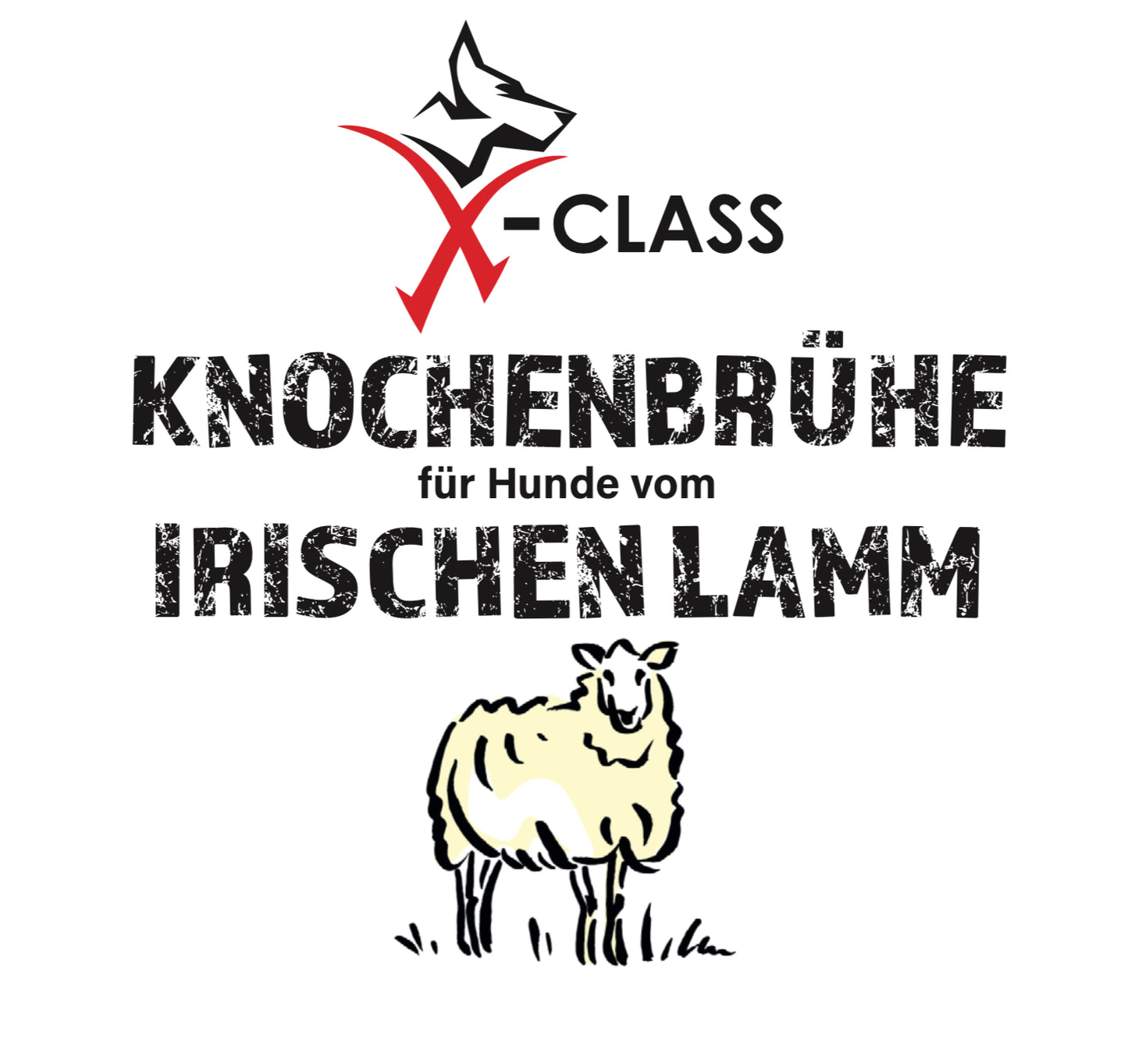 X-CLASS Knochenbrühe für Hunde vom Irischen Lamm